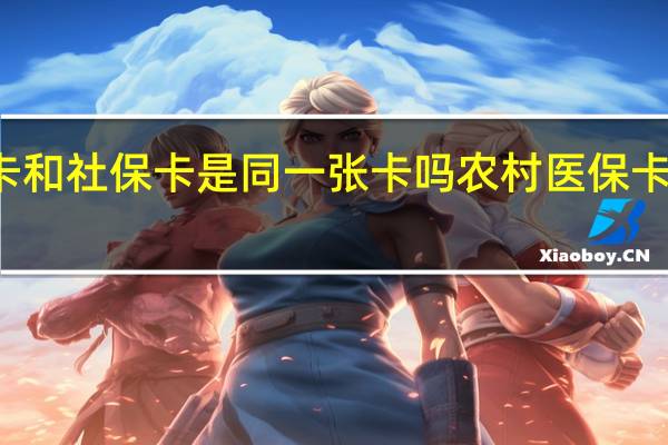 农村医保卡和社保卡是同一张卡吗　农村医保卡和社保卡的区别
