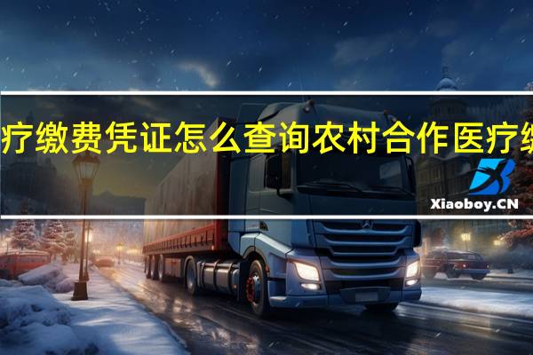 农村合作医疗缴费凭证怎么查询　农村合作医疗缴费凭证查询方式