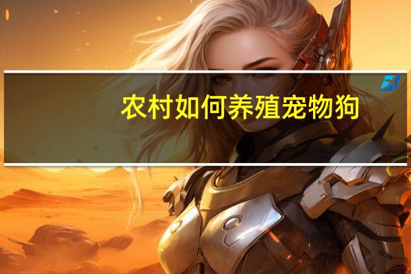 农村如何养殖宠物狗