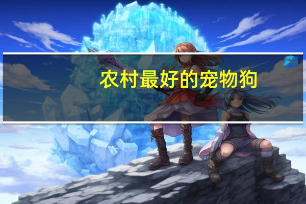 农村最好的宠物狗