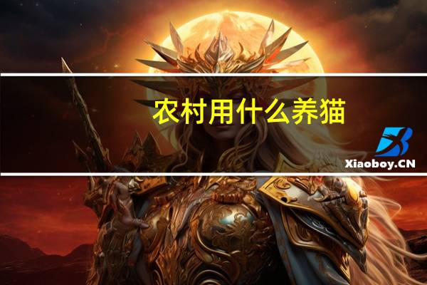 农村用什么养猫