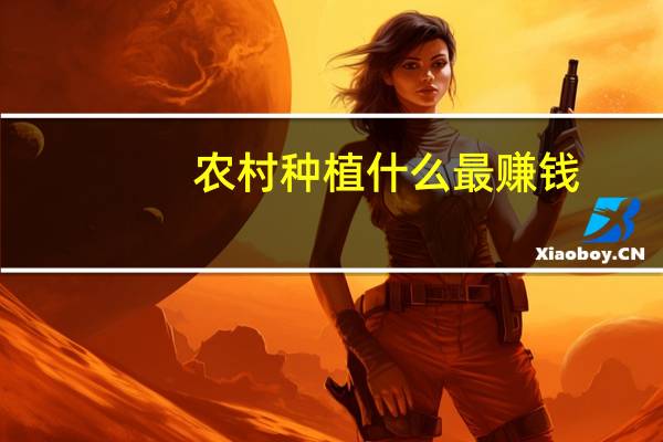 农村种植什么最赚钱