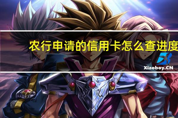 农行申请的信用卡怎么查进度（农业银行信用卡申请后如何查询进度）