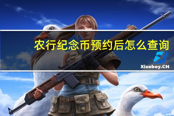 农行纪念币预约后怎么查询（农行纪念币预约成功怎么查询）