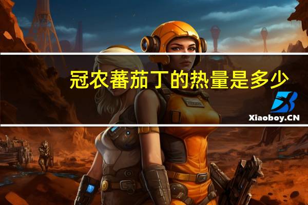 冠农 蕃茄丁的热量是多少