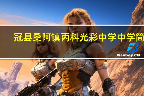 冠县桑阿镇丙科光彩中学中学简介