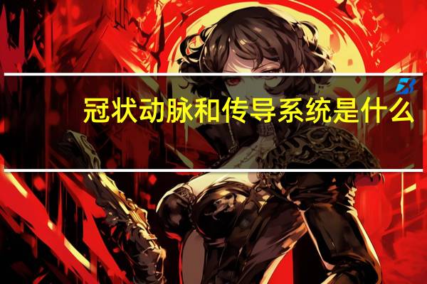 冠状动脉和传导系统是什么
