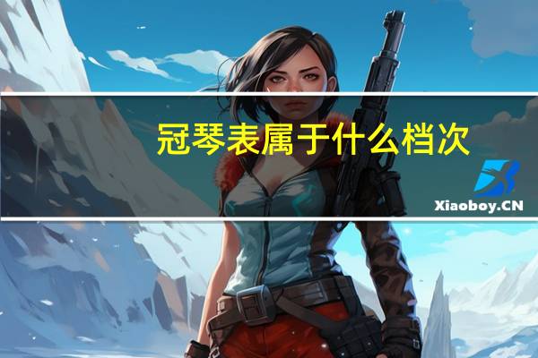 冠琴表属于什么档次