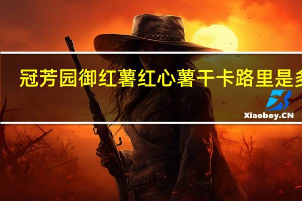 冠芳园 御红薯 红心薯干卡路里是多少
