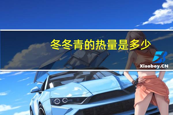 冬冬青的热量是多少