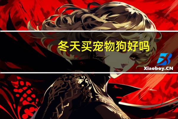 冬天买宠物狗好吗