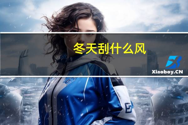 冬天刮什么风