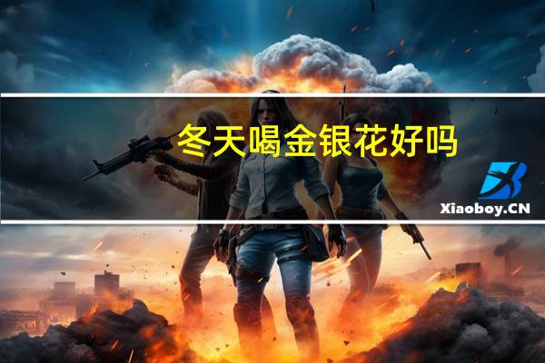 冬天喝金银花好吗