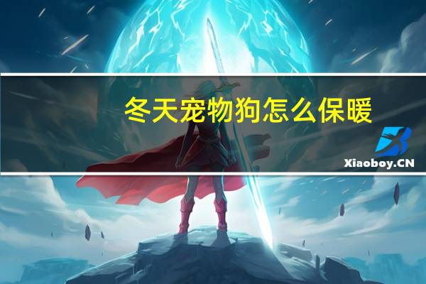 冬天宠物狗怎么保暖