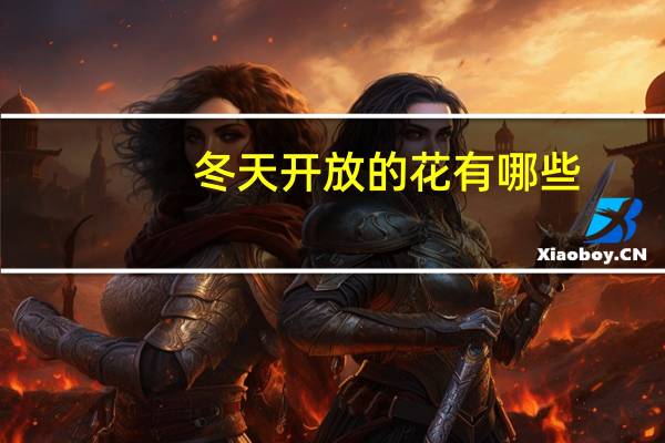 冬天开放的花有哪些