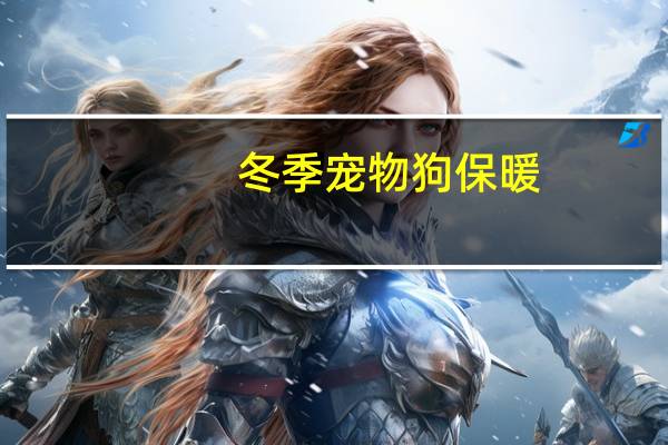 冬季宠物狗保暖