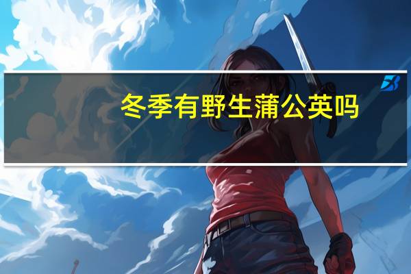 冬季有野生蒲公英吗
