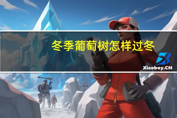 冬季葡萄树怎样过冬