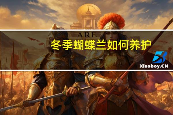 冬季蝴蝶兰如何养护：冬季养护