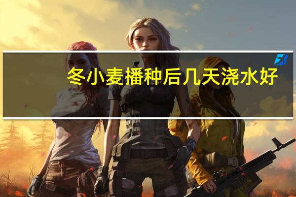 冬小麦播种后几天浇水好