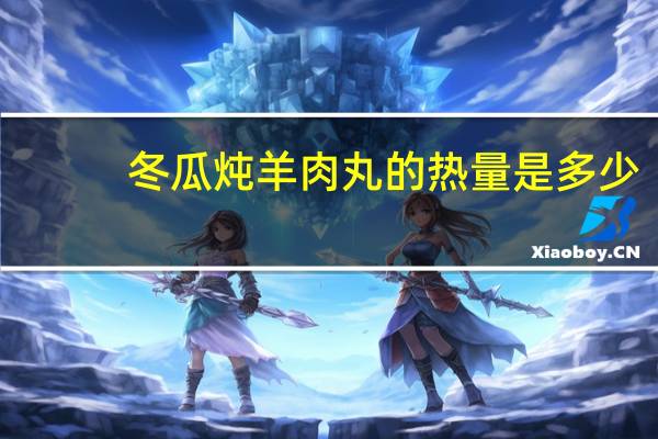 冬瓜炖羊肉丸的热量是多少？