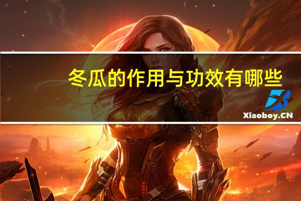 冬瓜的作用与功效有哪些(冬瓜的作用与功效)