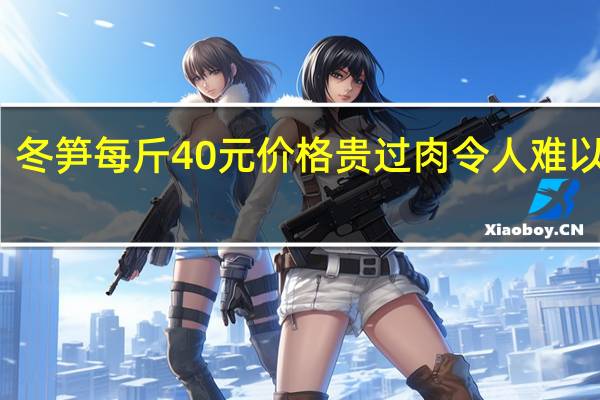 冬笋每斤40元价格贵过肉 令人难以置信