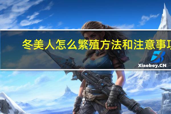 冬美人怎么繁殖方法和注意事项