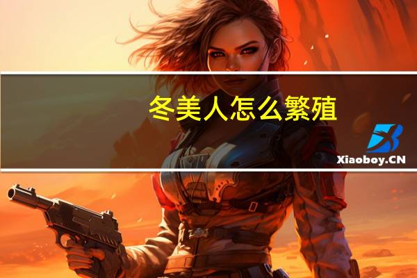 冬美人怎么繁殖