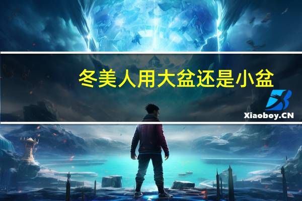 冬美人用大盆还是小盆