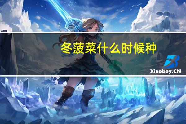 冬菠菜什么时候种