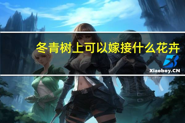 冬青树上可以嫁接什么花卉