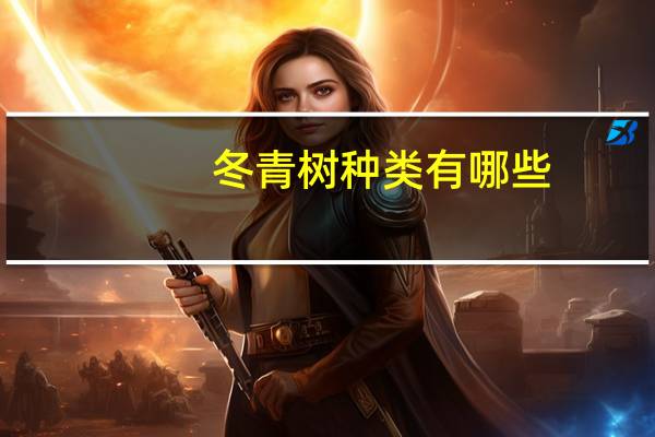 冬青树种类有哪些