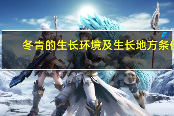冬青的生长环境及生长地方条件