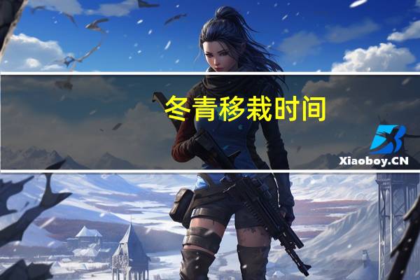 冬青移栽时间