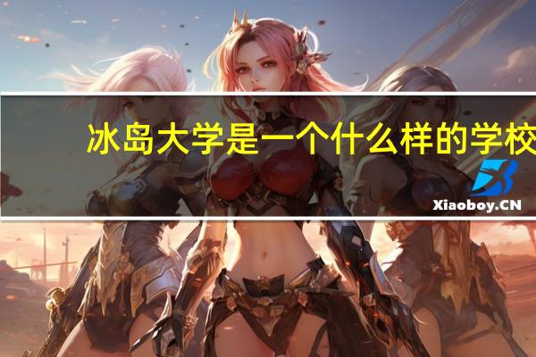 冰岛大学是一个什么样的学校