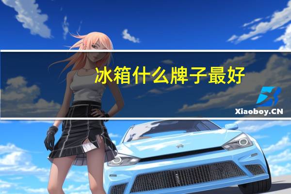 冰箱什么牌子最好