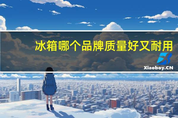 冰箱哪个品牌质量好又耐用（冰箱哪个品牌质量好）