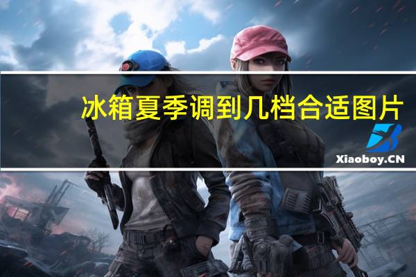 冰箱夏季调到几档合适图片（冰箱夏季调到几档合适）