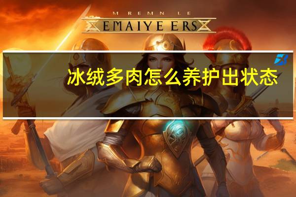 冰绒多肉怎么养护出状态