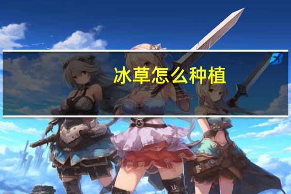 冰草怎么种植