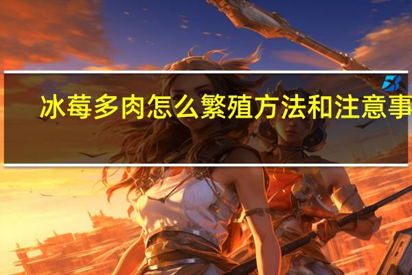 冰莓多肉怎么繁殖方法和注意事项