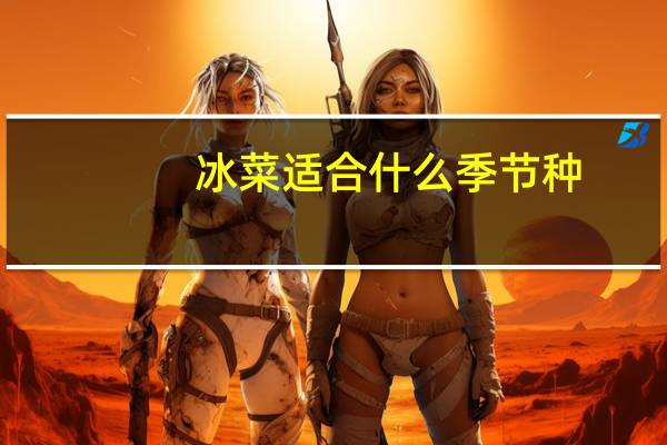 冰菜适合什么季节种