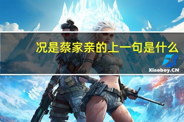 况是蔡家亲的上一句是什么
