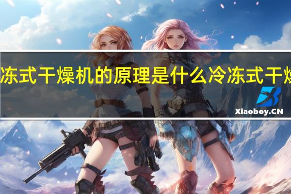 冷冻式干燥机的原理是什么 冷冻式干燥机价格