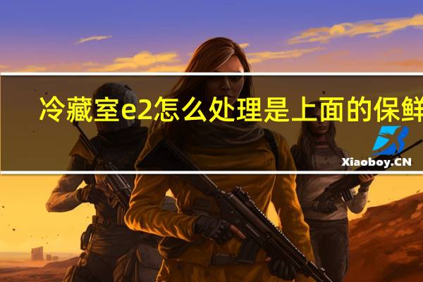 冷藏室e2怎么处理是上面的保鲜室