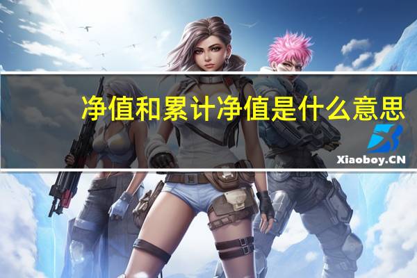 净值和累计净值是什么意思（净值和累计净值的区别是什么）
