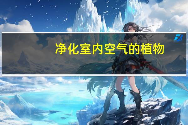 净化室内空气的植物