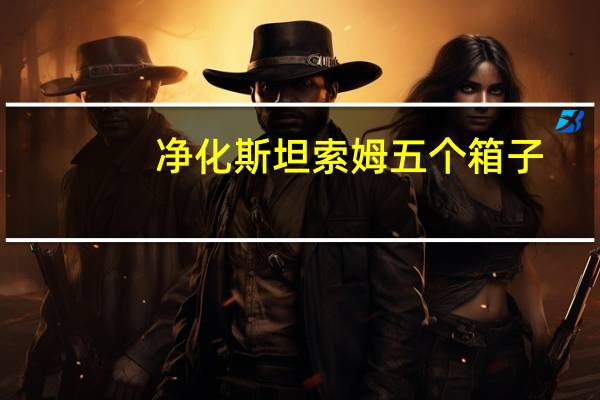 净化斯坦索姆五个箱子（净化斯坦索姆在哪）