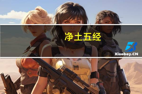 净土五经（关于净土五经的介绍）